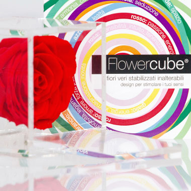 FLOWER_CUBE_A_CATANIA